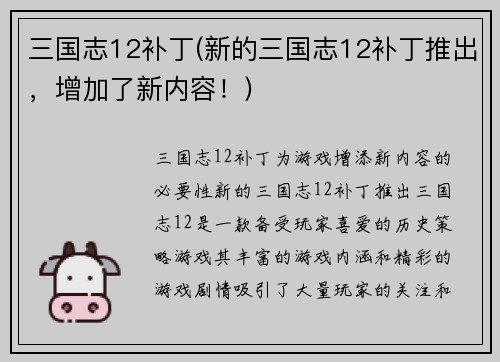 三国志12补丁(新的三国志12补丁推出，增加了新内容！)